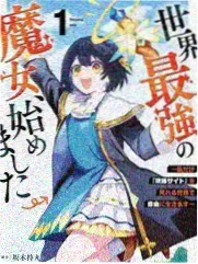 综艺节目片源展示